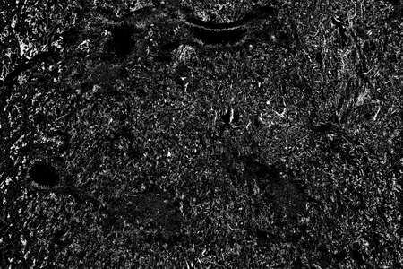 Abstract background. Monochrome texture. Image includes a effect the black and white tones.の写真素材