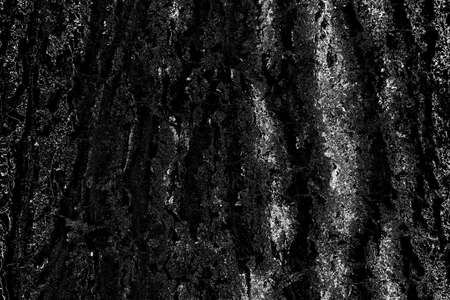 Abstract background. Monochrome texture. Image includes a effect the black and white tones.の写真素材