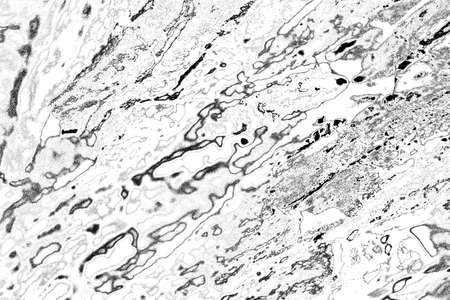 Abstract background. Monochrome texture. Image includes a effect the black and white tones.