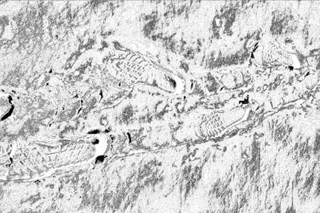 Abstract background. Monochrome texture. Image includes a effect the black and white tones.