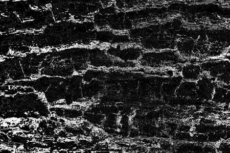 Abstract background. Monochrome texture. Image includes a effect the black and white tones.