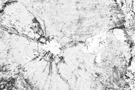 Abstract background. Monochrome texture. Image includes a effect the black and white tones.の写真素材