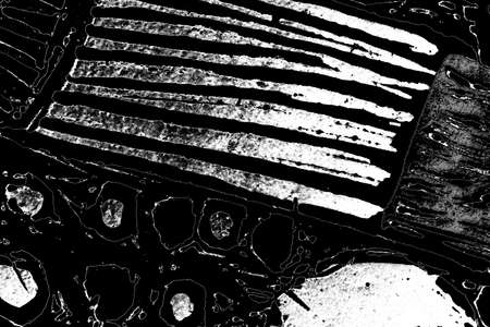 Abstract background. Monochrome texture. Image includes a effect the black and white tones.