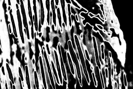 Abstract background. Monochrome texture. Image includes a effect the black and white tones.の写真素材