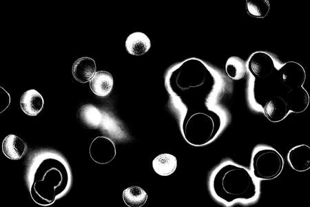 Abstract background. Monochrome texture. Image includes a effect the black and white tones.