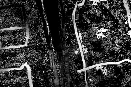 Abstract background. Monochrome texture. Image includes a effect the black and white tones.