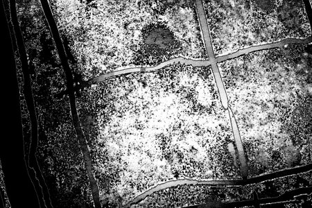 Abstract background. Monochrome texture. Image includes a effect the black and white tones.の写真素材