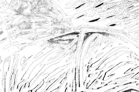 Abstract background. Monochrome texture. Image includes a effect the black and white tones.