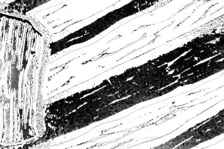 Abstract background. Monochrome texture. Image includes a effect the black and white tones.