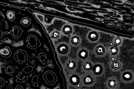 Abstract background. Monochrome texture. Image includes a effect the black and white tones.の写真素材