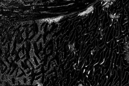 Abstract background. Monochrome texture. Image includes a effect the black and white tones.