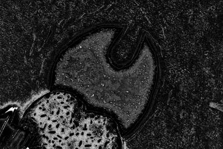 Abstract background. Monochrome texture. Image includes a effect the black and white tones.の写真素材