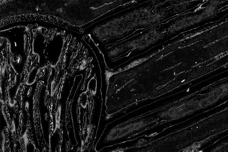 Abstract background. Monochrome texture. Image includes a effect the black and white tones.の写真素材