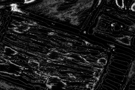 Abstract background. Monochrome texture. Image includes a effect the black and white tones.