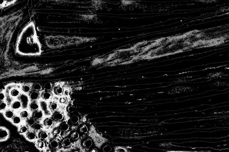 Abstract background. Monochrome texture. Image includes a effect the black and white tones.