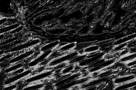 Abstract background. Monochrome texture. Image includes a effect the black and white tones.