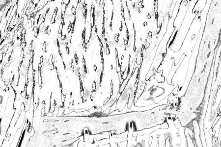 Abstract background. Monochrome texture. Image includes a effect the black and white tones.