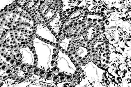 Abstract background. Monochrome texture. Image includes a effect the black and white tones.