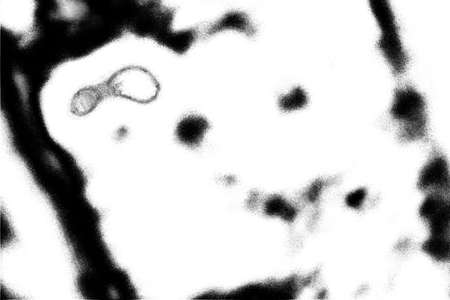 Abstract background. Monochrome texture. Image includes a effect the black and white tones.