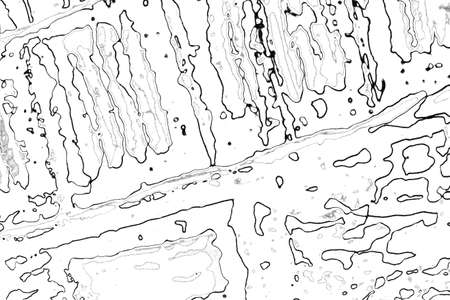 Abstract background. Monochrome texture. Image includes a effect the black and white tones.