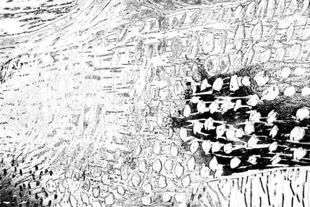 Abstract background. Monochrome texture. Image includes a effect the black and white tones.の写真素材