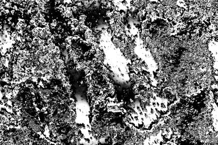 Abstract background. Monochrome texture. Image includes a effect the black and white tones.
