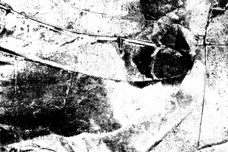 Abstract background. Monochrome texture. Image includes a effect the black and white tones.の写真素材