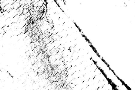 Abstract background. Monochrome texture. Image includes a effect the black and white tones.
