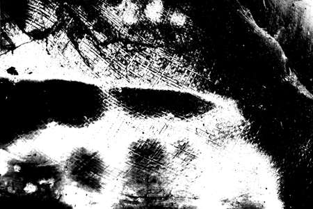 Abstract background. Monochrome texture. Image includes a effect the black and white tones.の写真素材