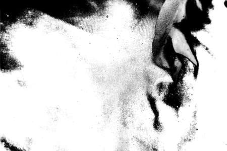 Abstract background. Monochrome texture. Image includes a effect the black and white tones.