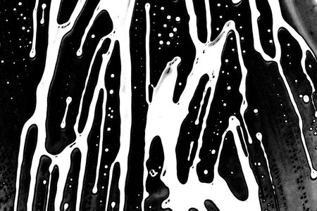 Abstract background. Monochrome texture. Image includes a effect the black and white tones.