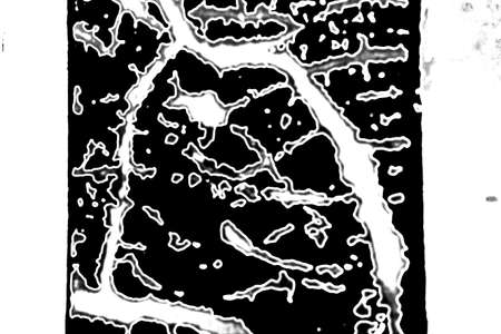 Abstract background. Monochrome texture. Image includes a effect the black and white tones.