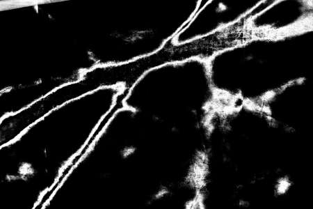 Abstract background. Monochrome texture. Image includes a effect the black and white tones.