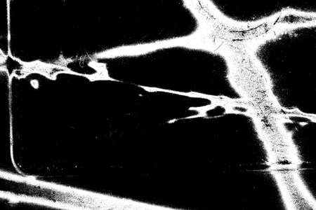 Abstract background. Monochrome texture. Image includes a effect the black and white tones.