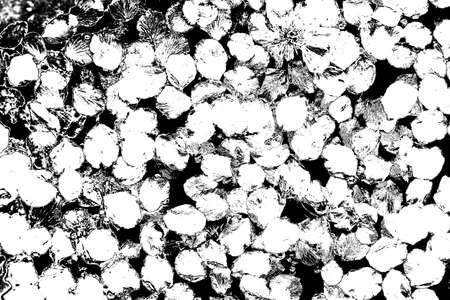 Abstract background. Monochrome texture. Image includes a effect the black and white tones.