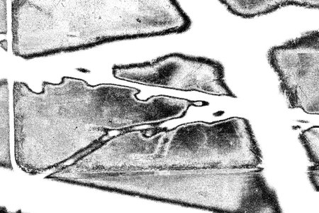 Abstract background. Monochrome texture. Image includes a effect the black and white tones.