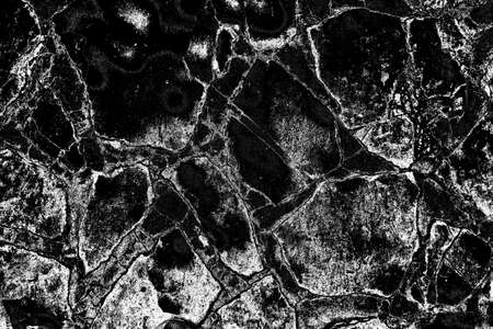 Abstract background. Monochrome texture. Image includes a effect the black and white tones.