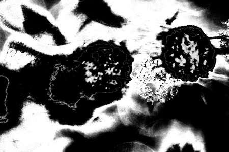 Abstract background. Monochrome texture. Image includes a effect the black and white tones.