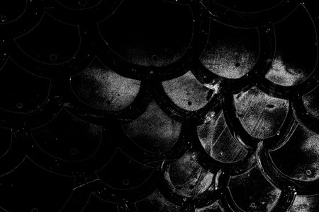 Abstract background. Monochrome texture. Image includes a effect the black and white tones.