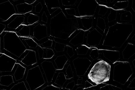Abstract background. Monochrome texture. Image includes a effect the black and white tones.