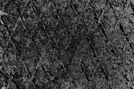 Abstract background. Monochrome texture. Image includes a effect the black and white tones.の写真素材