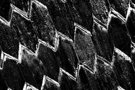 Abstract background. Monochrome texture. Image includes a effect the black and white tones.