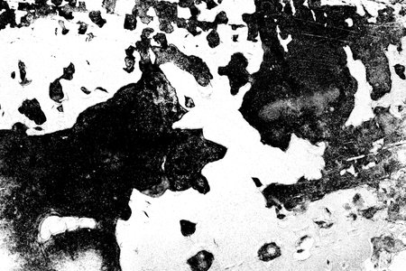 Abstract background. Monochrome texture. Image includes a effect the black and white tones.の写真素材