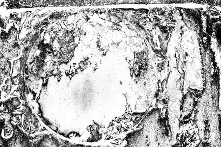 Abstract background. Monochrome texture. Image includes a effect the black and white tones.の写真素材