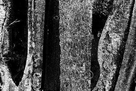 Abstract background. Monochrome texture. Image includes a effect the black and white tones.