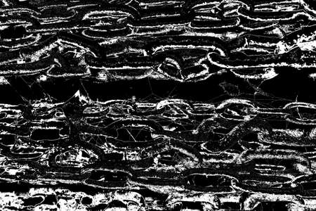 Abstract background. Monochrome texture. Image includes a effect the black and white tones.