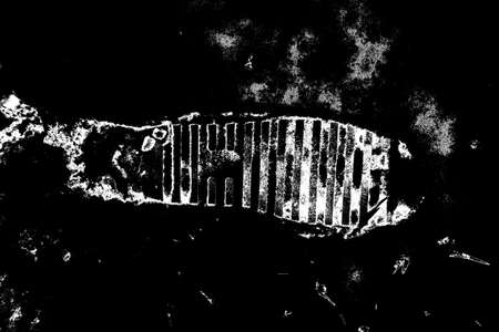 Abstract background. Monochrome texture. Image includes a effect the black and white tones.