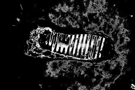Abstract background. Monochrome texture. Image includes a effect the black and white tones.