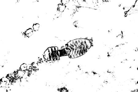 Abstract background. Monochrome texture. Image includes a effect the black and white tones.