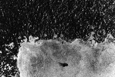 Abstract background. Monochrome texture. Image includes a effect the black and white tones.